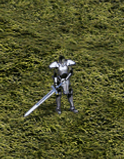 騎士